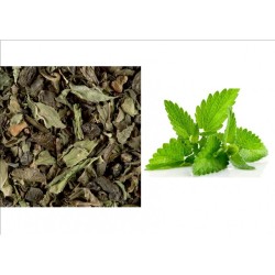 Thé vert menthe 25 sachets Thés CANTON